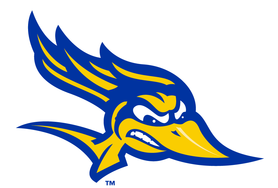 CSU Bakersfield Roadrunners 2017-2019 Primary Logo diy iron on heat transfer